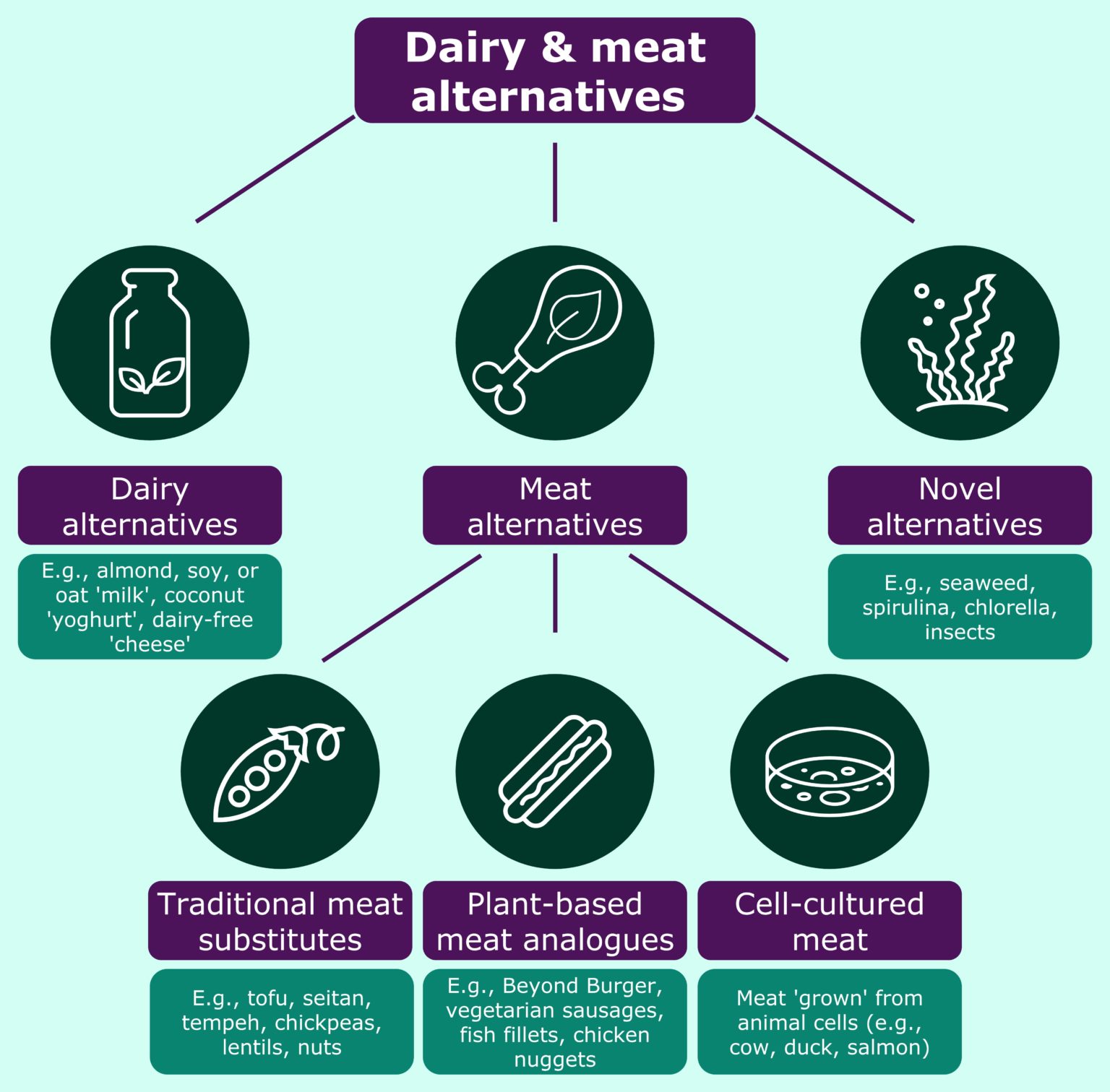 Dairy and meatalternatives explained The Consumer Dimension of