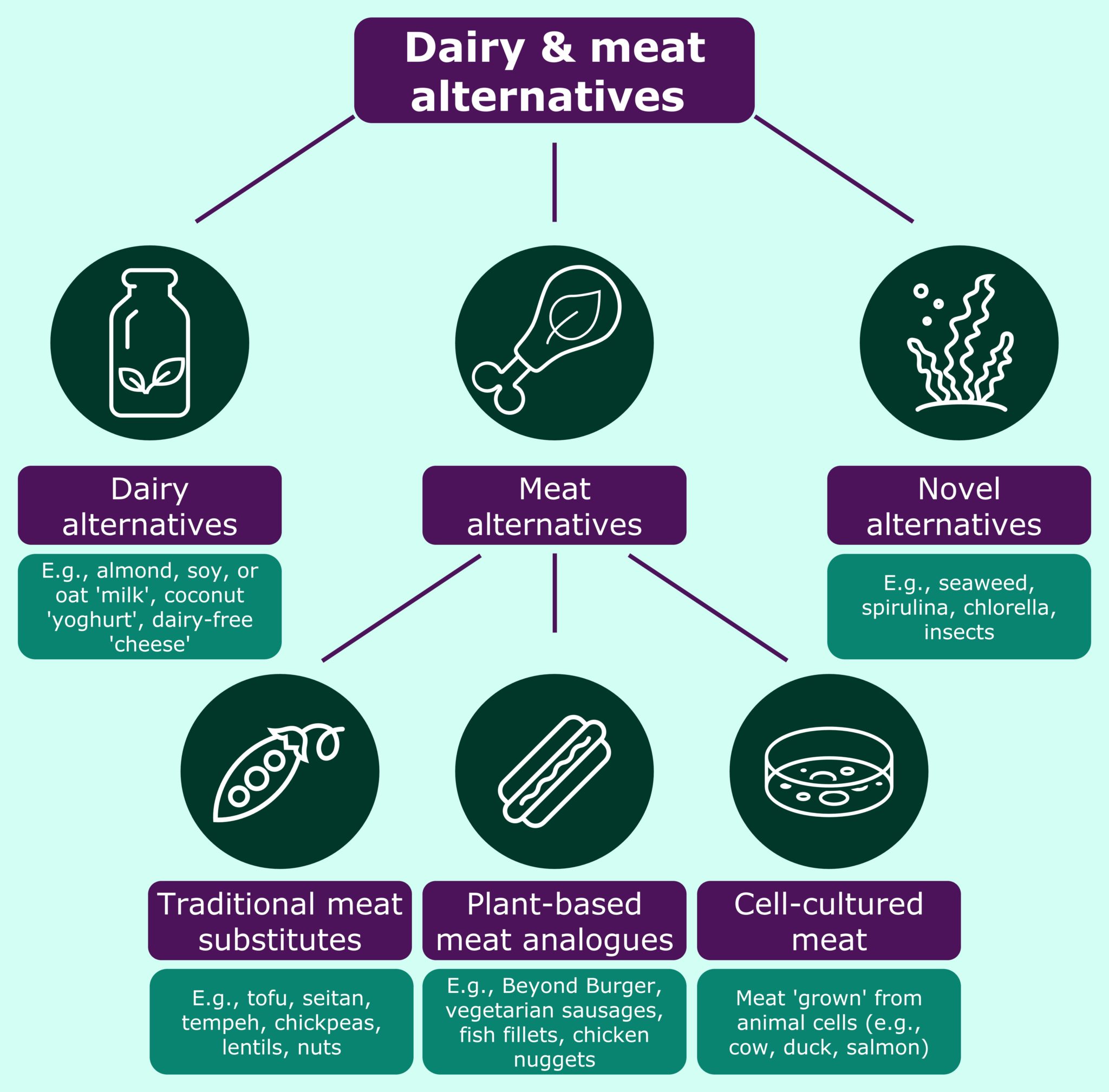 Dairy and meatalternatives explained The Consumer Dimension of