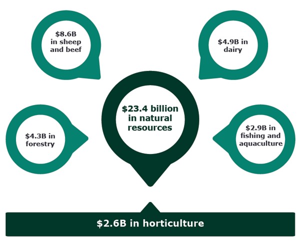 Māori have a total of $23.4B in assets in natural resources. Of that, $2.6B is in horticulture.