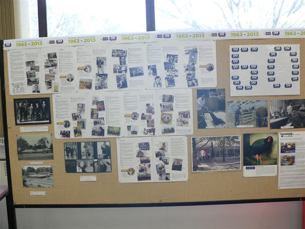 Massey thesis library picture